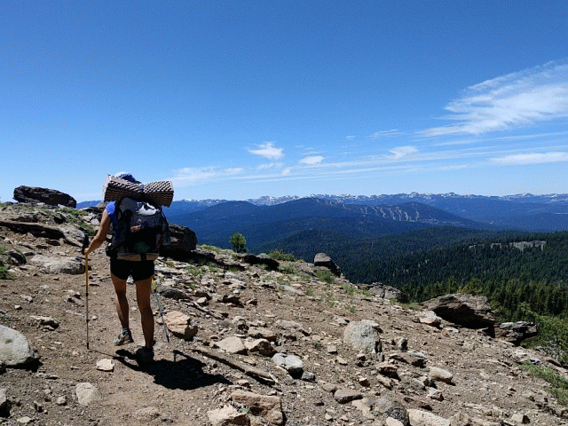 IMG_20190730_131238_exported_stabilized_5783396761777286405