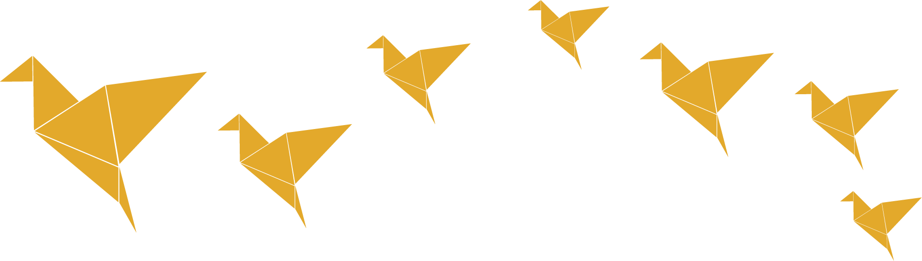 jcdm birds2